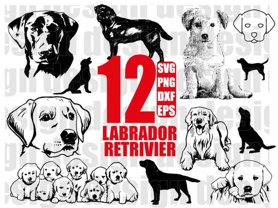 LABRADOR SVG golden retriever svg retriever svg dog svg | Etsy