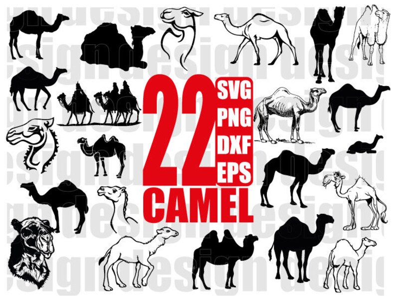 Download CAMEL SVG desert animal svg camel clipart camel png sahara | Etsy