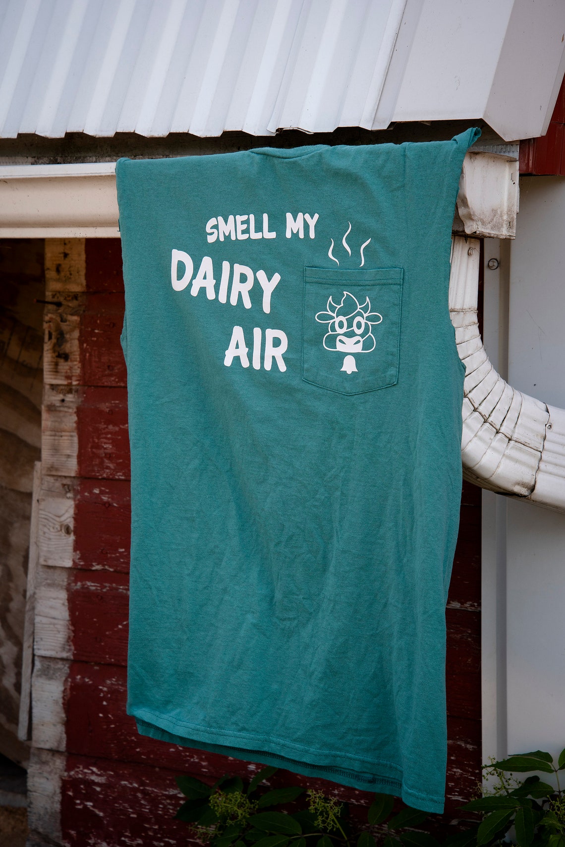 Smell My Dairy Air Tshirt or Decal SVG Cut File Cricut Etsy