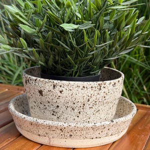 May include: A speckled cream-colored ceramic planter with a matching saucer, featuring dark brown flecks throughout the surface. The planter holds a lush green artificial plant with pointed leaves, creating a contrast between the textured pot and the foliage.
