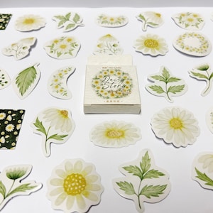 Pegatinas de flores, pegatinas florales, pegatinas de naturaleza, conjunto de pegatinas, paquete de pegatinas de álbum de recortes, accesorios de planificador, pegatinas de Bullet Journal Bujo