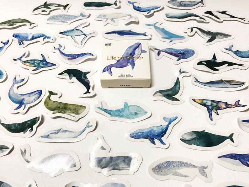 Whale Stickers Marine Stickers Planner Stickers Scrapbook Etsy UK
