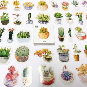 Stickers plantes, stickers succulents, autocollants kawaii, lot d'autocollants cactus, lot d'autocollants de scrapbooking, accessoires d'agenda, autocollants de carnet