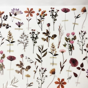 Getrocknete Blumen Aufkleber, PET Transparente Blumenaufkleber, Natur Aufkleber Set, Scrapbook Sticker Pack, Planer Zubehör, Bullet Journal