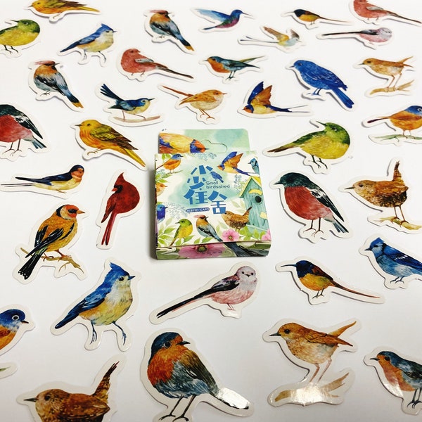 Autocollants d'oiseaux lumineux mignons, autocollants arc-en-ciel, autocollants d'oiseaux, autocollants de nature, accessoires de journal de balle, autocollants de planificateur, autocollants d'animaux