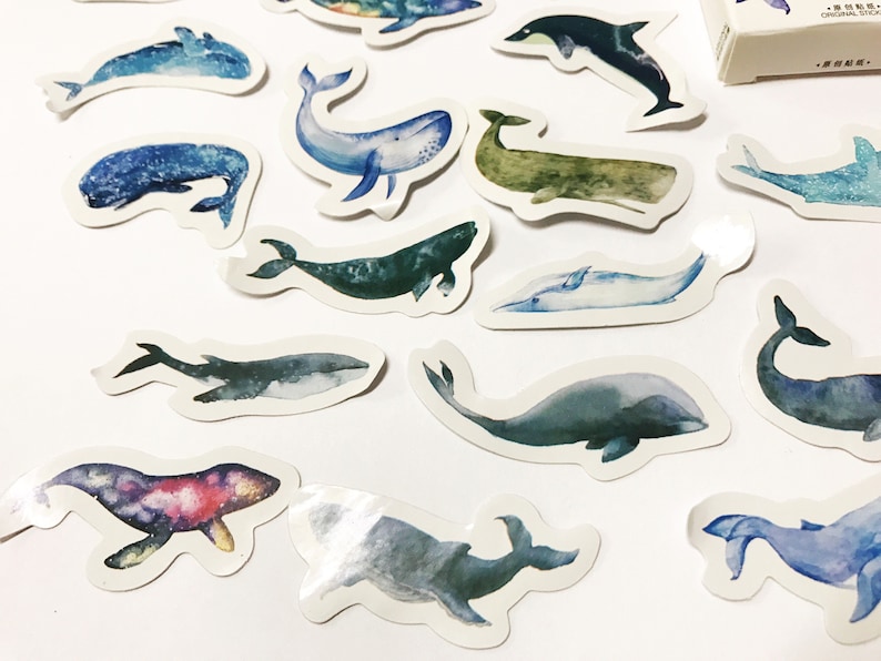 Whale Stickers Marine Stickers Planner Stickers Scrapbook Etsy UK