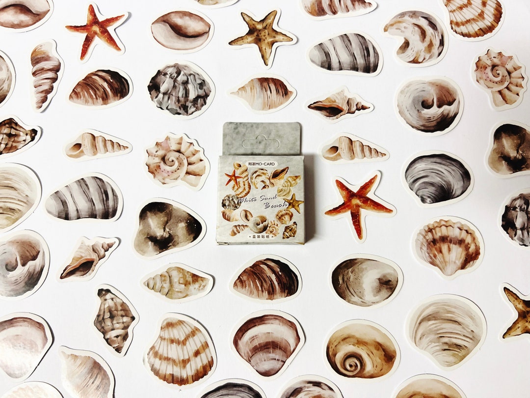 Shell Stickers, Beach Stickers, Seaside Sea Shell Stickers, Summer