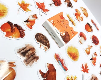 Woodland Animal Stickers, Sticker Pack, Stickers Set, Stickers Pack, Planner Stickers, Journal Accessories, Hedgehog Bear Autumn Stickers