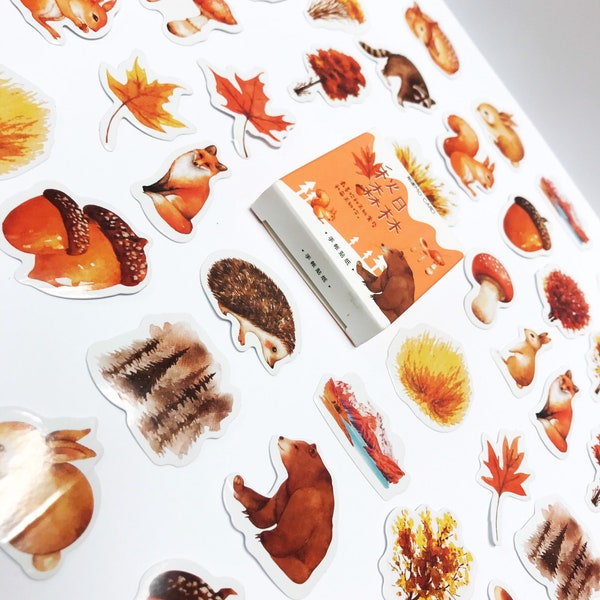 Woodland Animal Stickers, Sticker Pack, Stickers Set, Stickers Pack, Planner Stickers, Journal Accessories, Hedgehog Bear Autumn Stickers