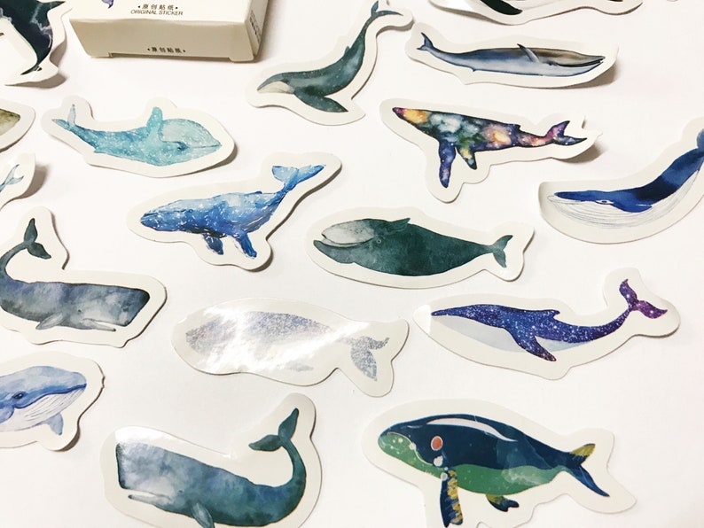 Whale Stickers Marine Stickers Planner Stickers Scrapbook Etsy UK