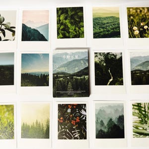 Pegatinas de paisajes, pegatinas de bosques, pegatinas de naturaleza, juego de pegatinas, paquete de pegatinas para álbumes de recortes, accesorios para planificadores, pegatinas para diarios