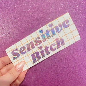 Sensitive Bitch Cute Herz Kawaii Vinyl Auto Laptop Wasserflasche Aufkleber Aufkleber