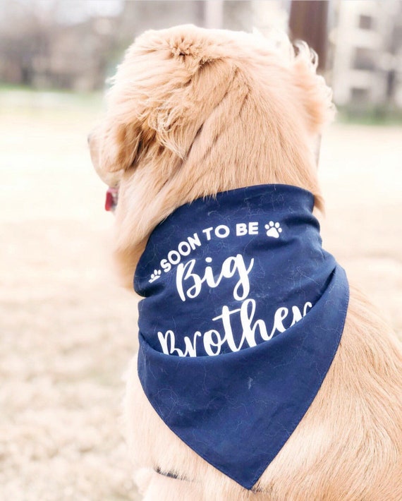 BIG BROTHER PERSONALISED MACHINE EMBROIDERED DOG BANDANA ...