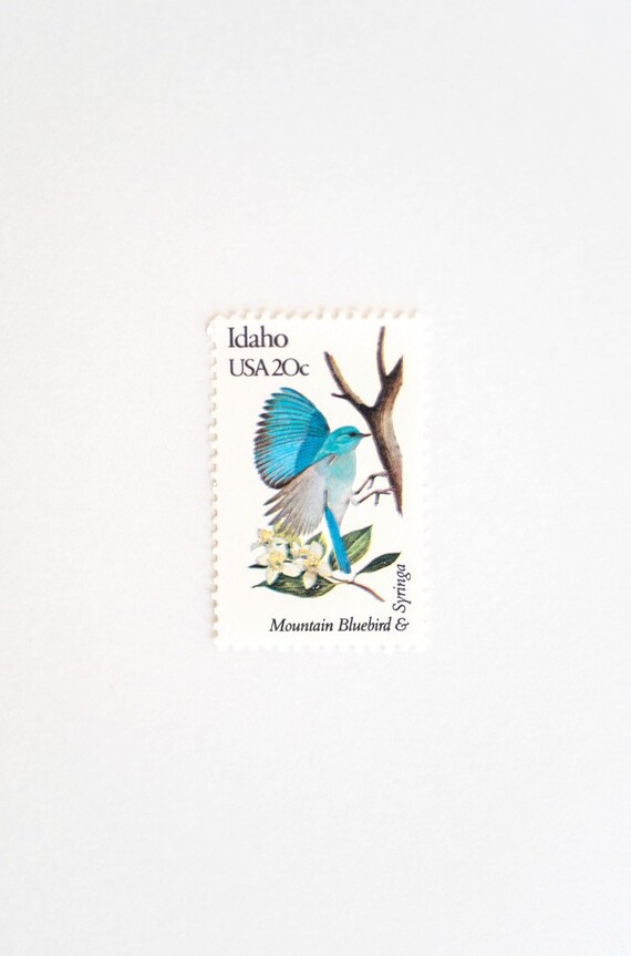 samoa kinderen bluebird