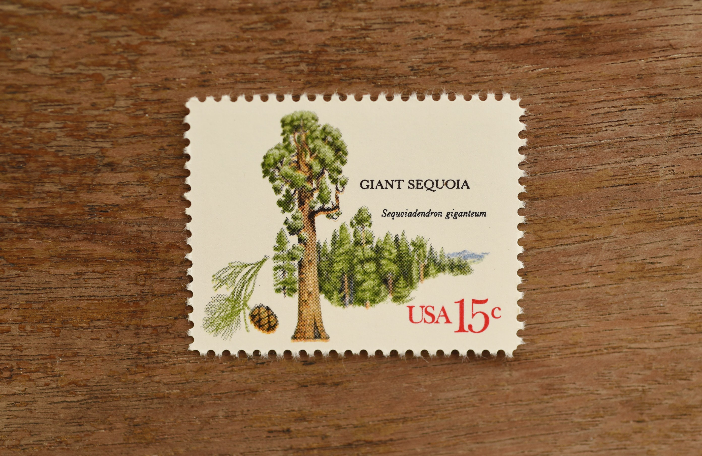 10 American Trees Giant Sequoia Postage Stamps // 15 Cents // Etsy