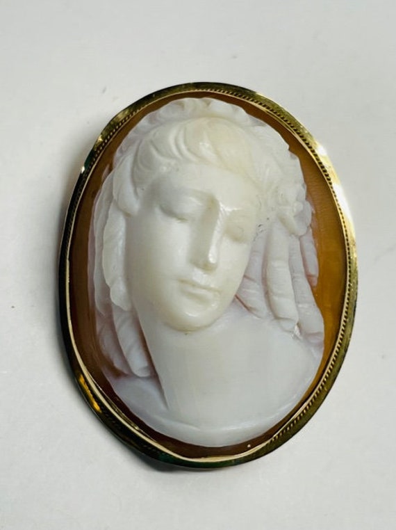 14k High Relief Conch Shell Cameo