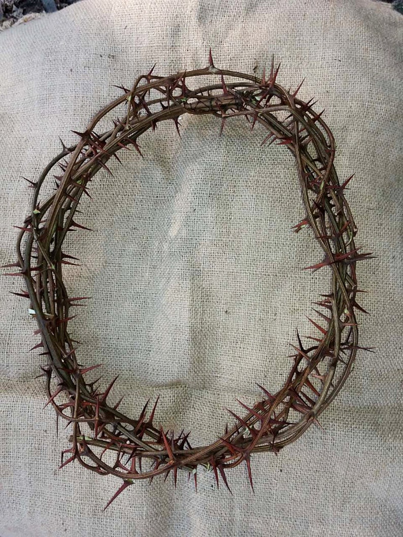 Sharp real thornJesus Christ crownthorns crown home decor | Etsy