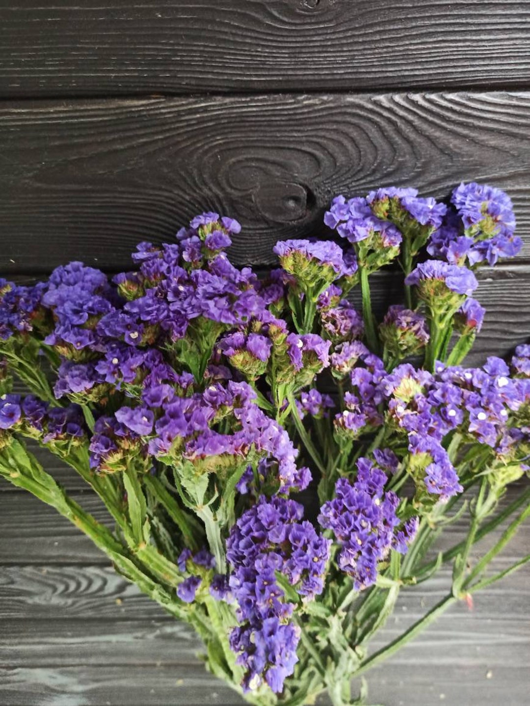 Purple Statice Bunch Purple Dried Statice Wedding Flowers Bouquetpurple