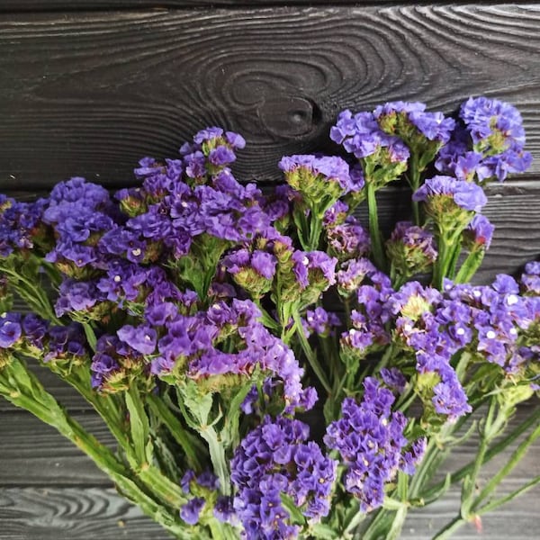 Purple Dried Flower Etsy