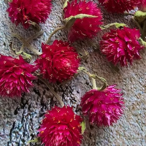50 pcs Gomphrena heads,pink dried flowers,epoxy resin supply,tiny dried flower,DIY Soap Making DIY Candle Making,Gomphrena Strawberry Fields