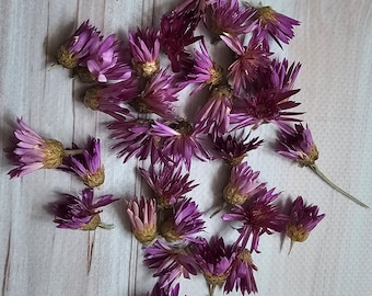50 Purple Dried Strawflower Heads, Craft Supplies