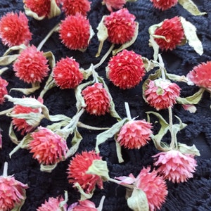 50 pcs Gomphrena heads,red dried flowers,epoxy resin supply,tiny dried flowers,DIY Soap Making DIY Candle Making,Gomphrena Strawberry Fields