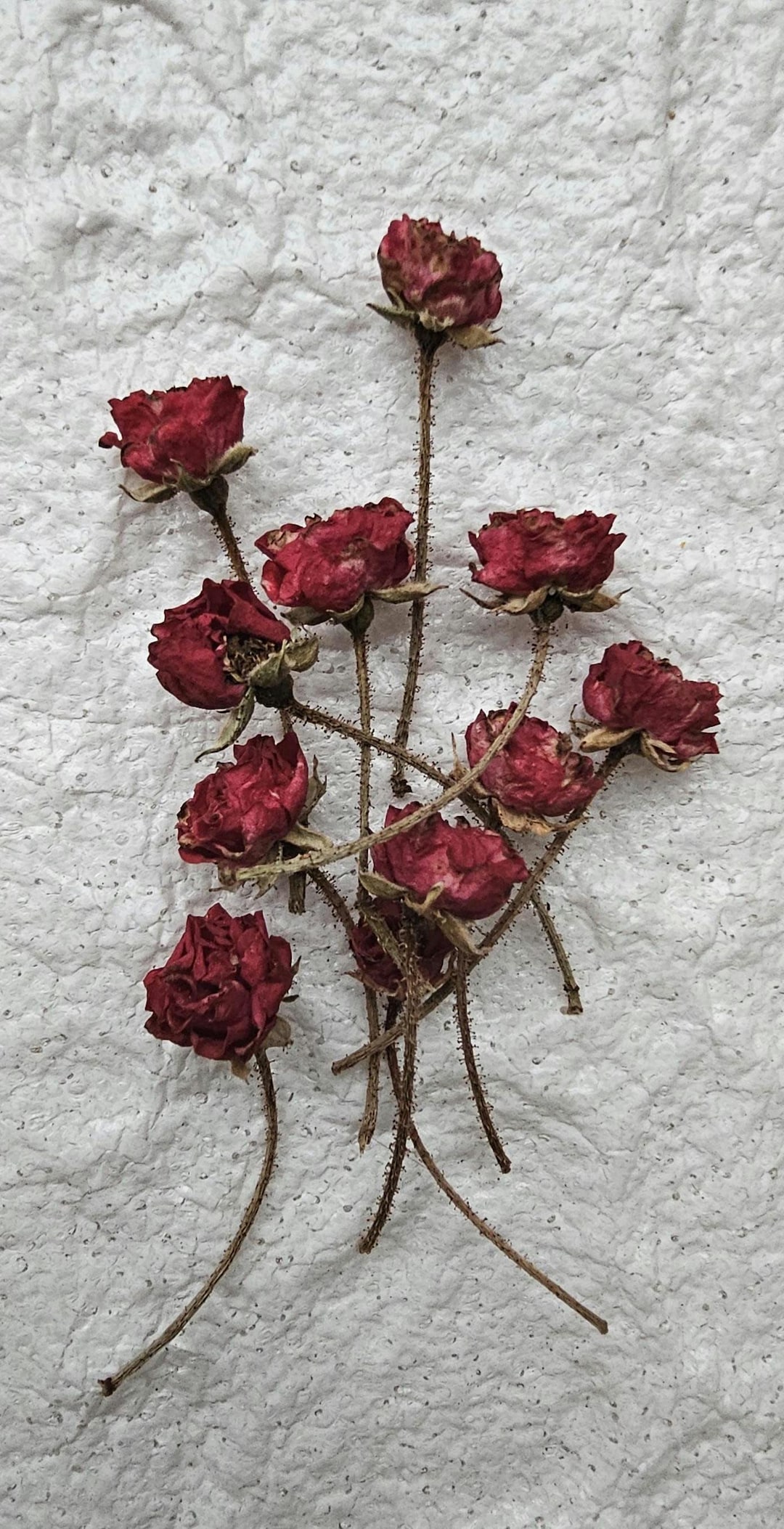20 Dried Burgundy Roses.tiny Resin Flowers.small Dried Flowers. Resin ...