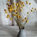 see more listings in the Dried Flower section