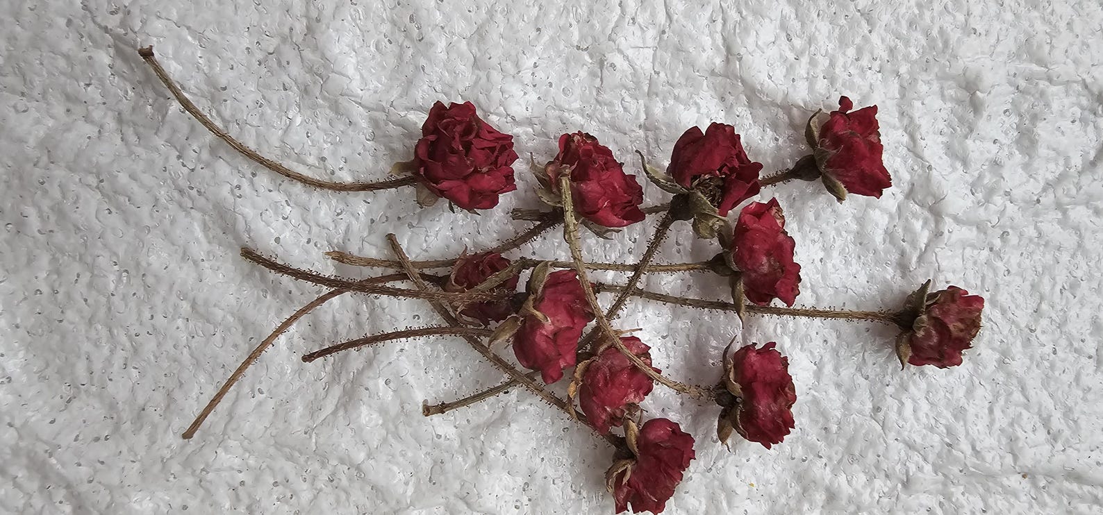 20 Dried Burgundy Roses.tiny Resin Flowers.small Dried Flowers. Resin ...