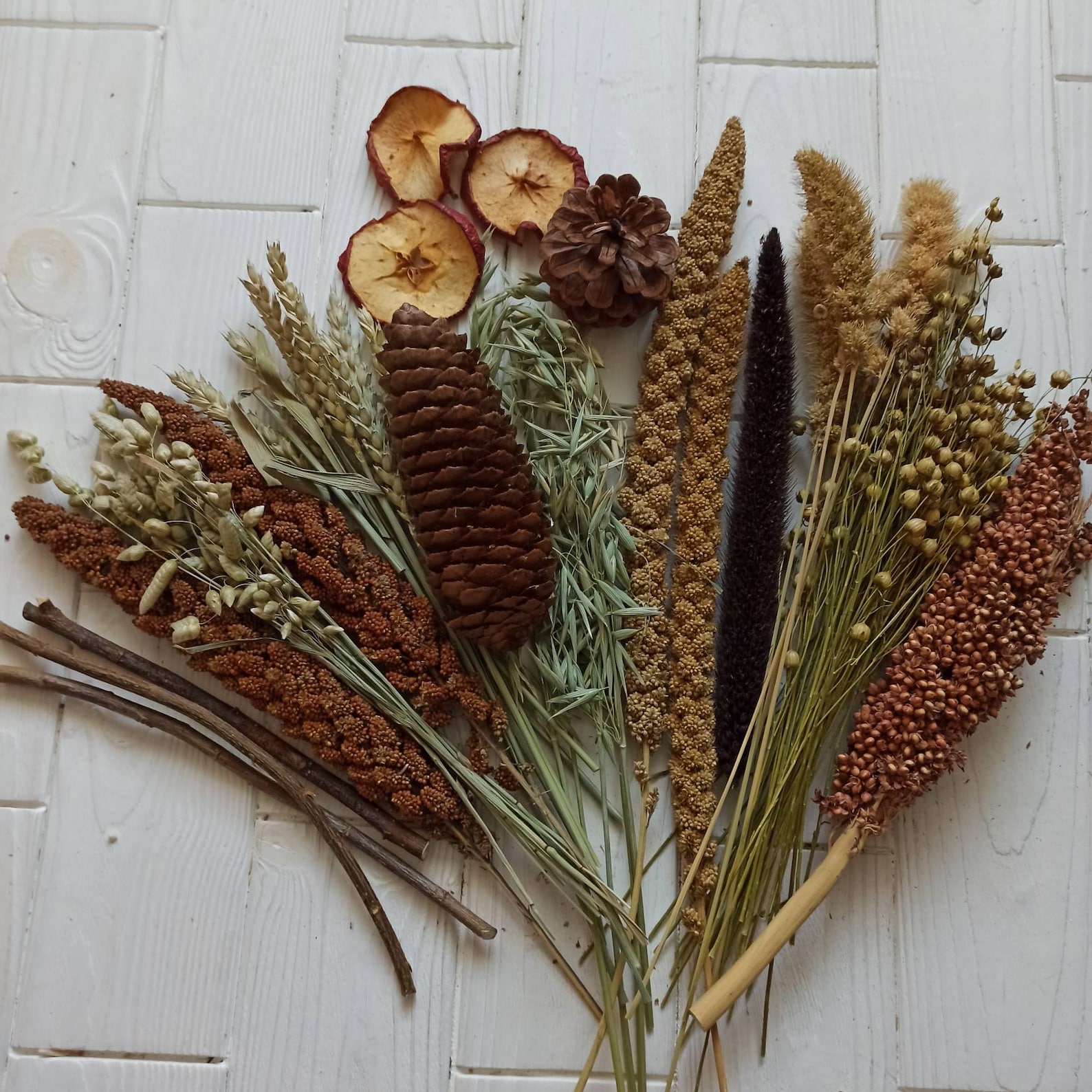 300 G Hamster Sprays Set Organic Hamster Sprays Bird Sprays Etsy