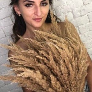 Op de afbeelding: Een groot boeket gedroogd pampasgras met lange, vederachtige pluimen in beige en bruine tinten.