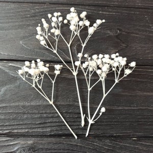 25 stelen baby adembloemen, witte gipskruid, kleine bloemen, gedroogde babyadem, bloem voor harssieraden, kleine bloemen, droge bloemen