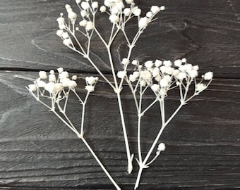25 tallos secos de gypsophila blanca y flores de gitano