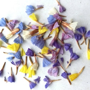70 Pcs Tiny Flowers for Resin Jewelry, Large Set of Dried Flowers