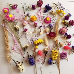 70 pcs small dried flowers,tiny dry flowers,flowers for resin,Box Resin DIY, dry flower supply, dried flowers kit, dried flowers for crafts