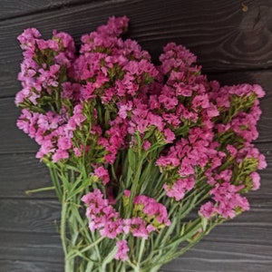 May include: A bouquet of pink statice flowers with green stems against a dark wood background.