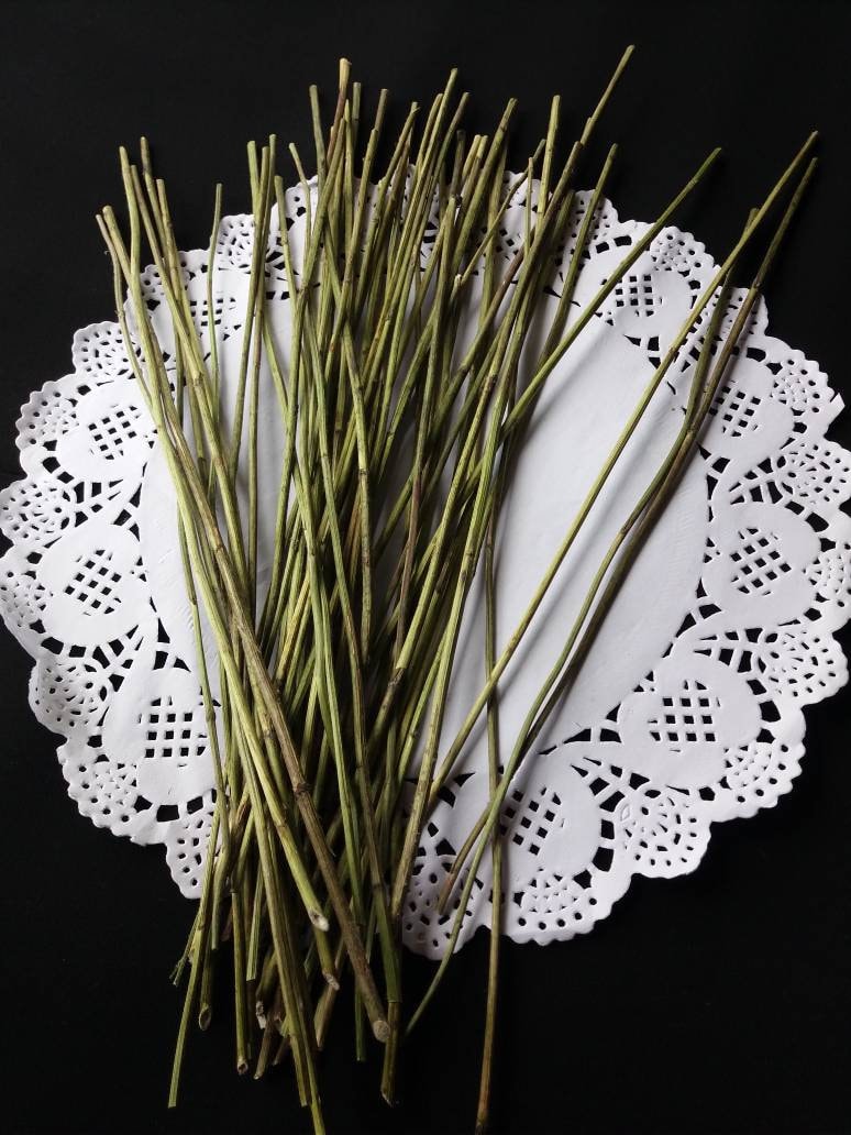 Yarrow stalks I Ching dried yarrow yarrow sticksachillee Etsy