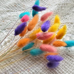 25pcs Dried Lagurus,Colorful dried flowers,Dried bunny Tails,Rustic Wedding Decor,Dried Grass,Bunny Tail bouquet,Lagurus grass,Wedding Decor