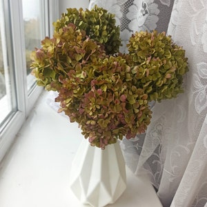 Peut inclure: Un vase blanc géométrique contient un bouquet d'hortensias séchés. Les fleurs présentent un mélange de teintes vertes, brunes et roses. L'arrangement est posé sur un rebord de fenêtre blanc, avec une fenêtre et un rideau de dentelle en arrière-plan.