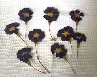 Purple Pressed Flowers, Botanical Craft, Epoxy Resin Art