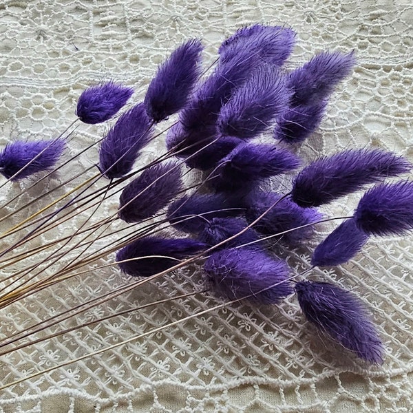 25 Stück lila Bunny Tails, Bunny Tail Grass, Trockenblumen, Lagurus, Trockenblumen, getrocknetes Gras, Bunny Tail Bouquet, weißer Lagurus, Boho Trockenblumen