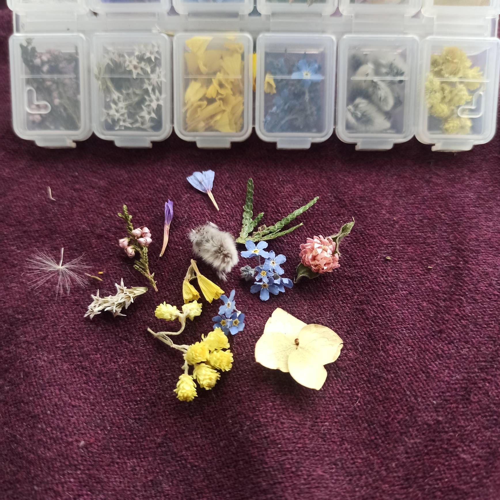 Organic Dried Flower Box for Crafts Candle Making Organic Dry Flowers for  Resin Jewelry Making Mini Flowers Kit Set Floral Craft Soap Making 