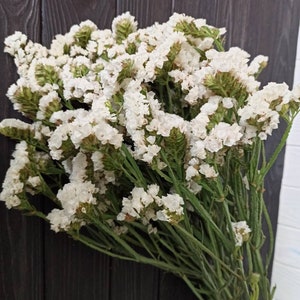 May include: A bunch of white statice flowers with green stems and buds. The flowers are densely packed, giving a full, textured look. The backdrop is a dark wooden surface.