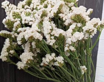 May include: A bunch of white statice flowers with green stems and buds. The flowers are densely packed, giving a full, textured look. The backdrop is a dark wooden surface.