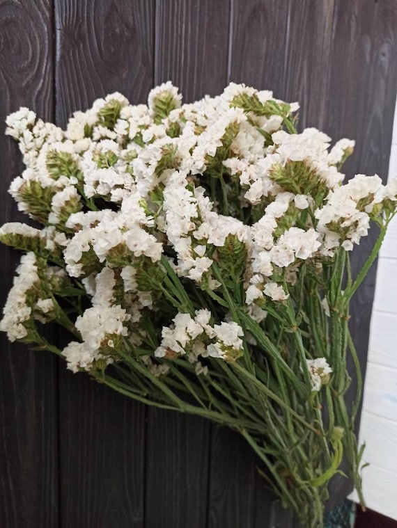 White Statice Bunch White Dried Statice Wedding Flowers Etsy