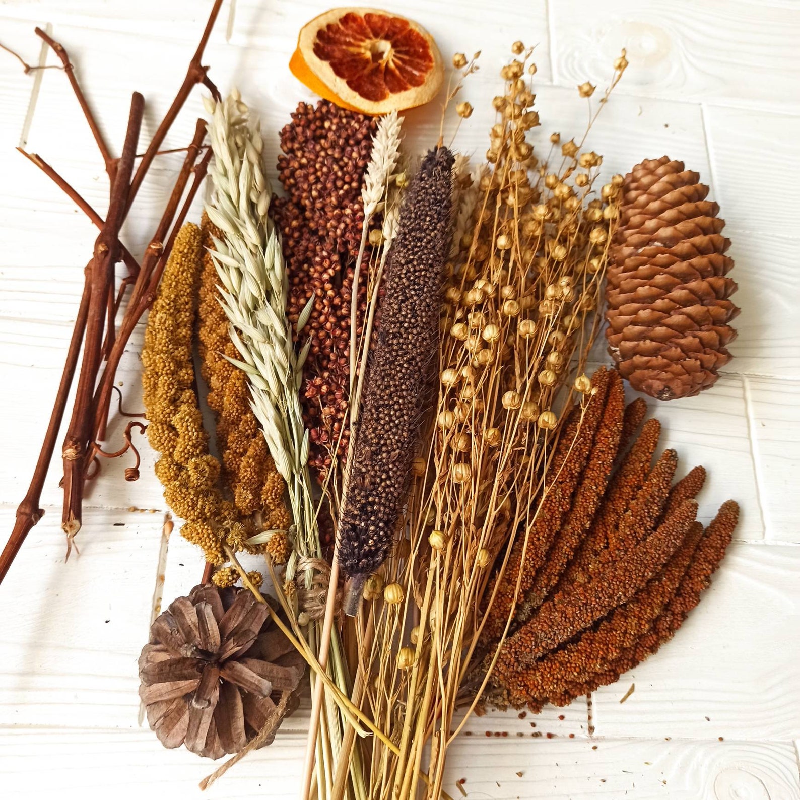 150 G Hamster Sprays Set Organic Hamster Sprays Bird Sprays Etsy