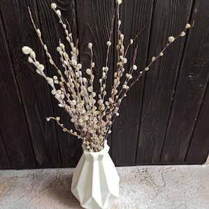 Lanmik 40 Stems 17.5 Inches 100% Real Natural Dried Pussy Willow Branches  for Vase Pussy Willows Dried Flowers Pussywillow for Home Decorations