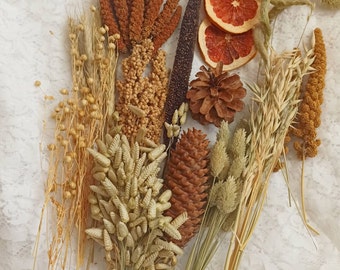 Organic Hamster Spray Set, Natural Forage Treats, Mohair Millet