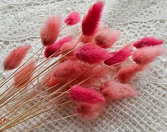 25 Pink Dried Bunny Tails, Boho Floral Decor