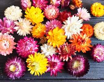 100 Dried Strawflower Heads, dried flowers, wedding diy, Dried flower , Dried flower for resin, Dried flower for craft